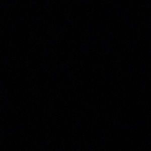 Meet your Posher, Bree